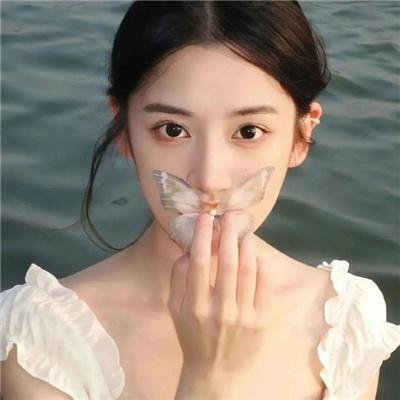 边境音暴